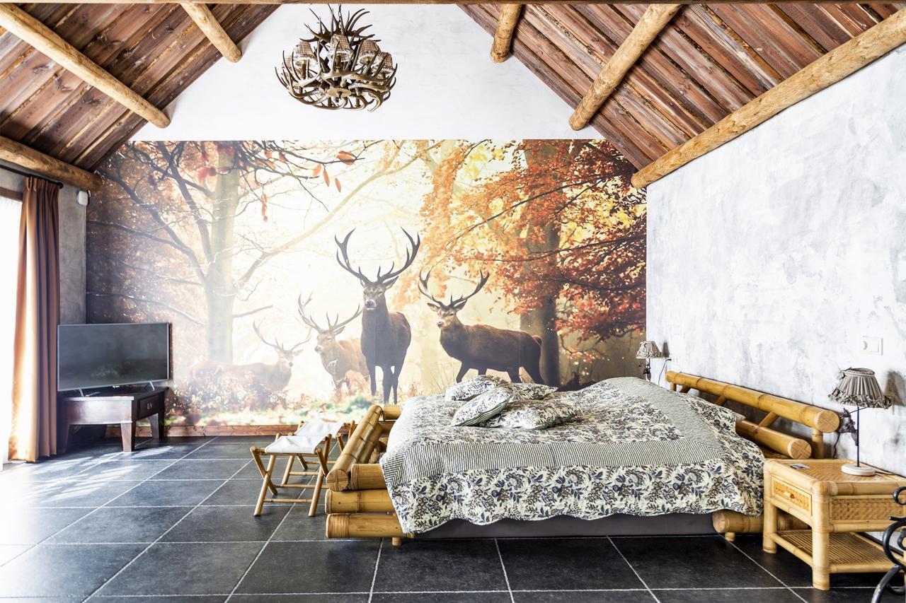 Bed and Breakfast De Vrolijcke Bosmuis Bergeijk Exteriér fotografie